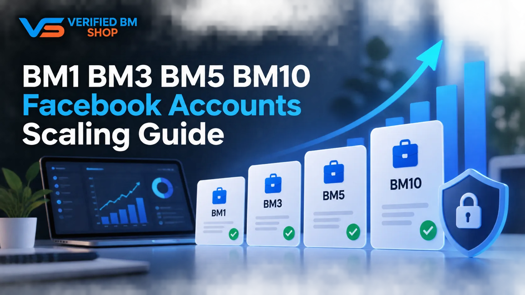BM1 BM3 BM5 BM10 Facebook Accounts Scaling Guide